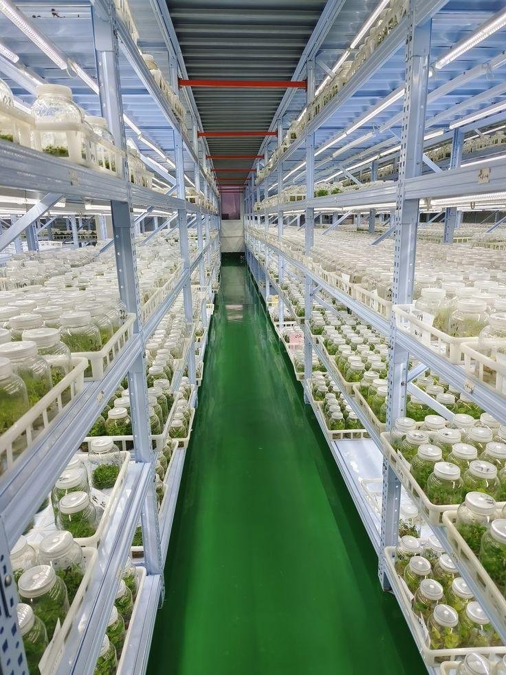 Tissue Culture Rack Coimbatore