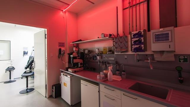High Quality Laboratory Dark Room Setup